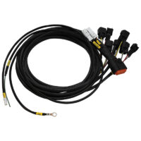 Cablaggio-PlugPlay_CGS4.jpg