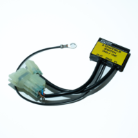 Modulo elettronico di controllo Doppio Switch 01